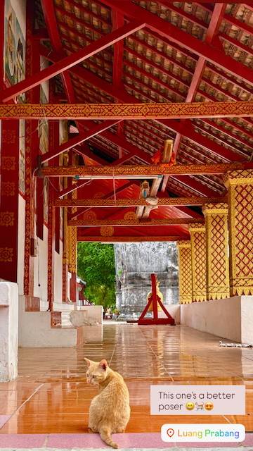 48E35237 DD7A 41C0 9227 59134788D313 compressed