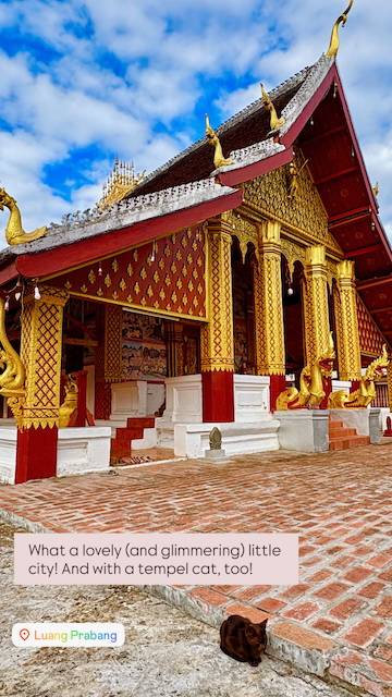 77A699AA 6A61 4F10 AAF1 B049DAC360D2 compressed